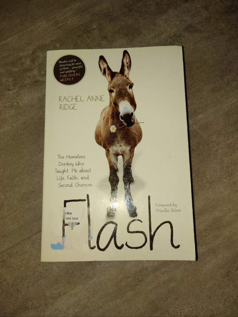 Flash Rachel Anne Ridge Paperback Christian Memoir Homeless Donkey Life Faith Se